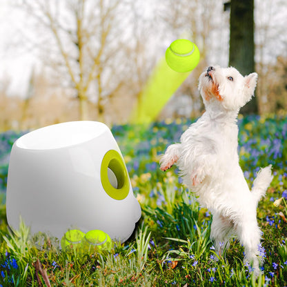 Pet Automatic Ball Launcher