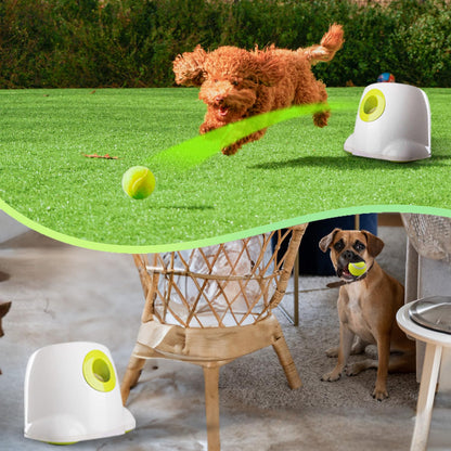 Pet Automatic Ball Launcher